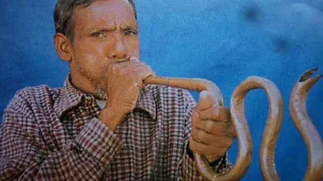 नागफणी लोक वाद्य यंत्र